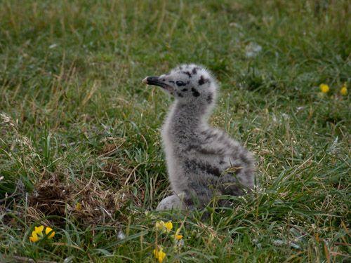 cloudy.jpg - Compressed with JPEG Optimizer 4.00, www.xat.com