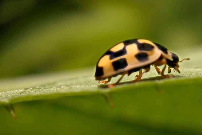 ok_byebye.jpg - Compressed with JPEG Optimizer 4.00, www.xat.com