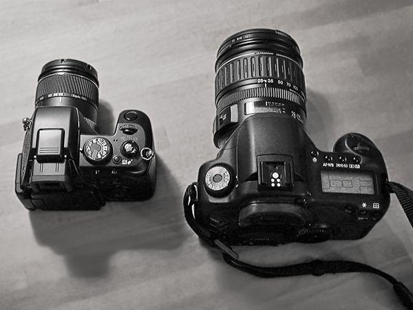 koppeltje.jpg - Compressed with JPEG Optimizer 4.00, www.xat.com